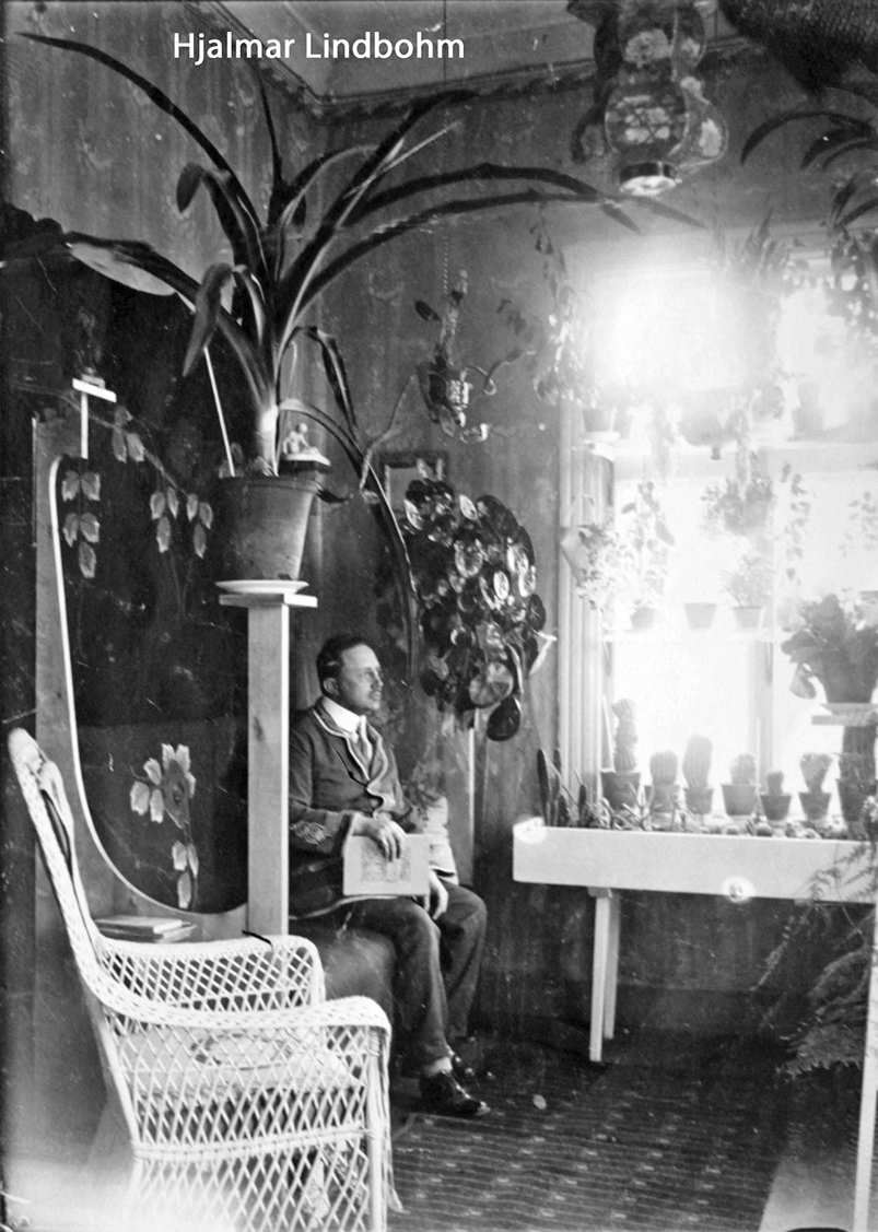 hjalmar lindbohm
